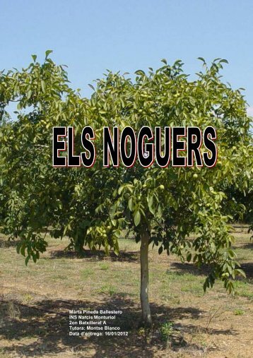 Treball els noguers - IES Narcís Monturiol