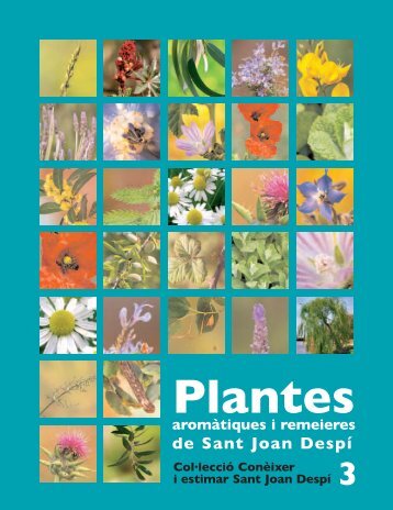 Plantes aromàtiques - Sant Joan Despí