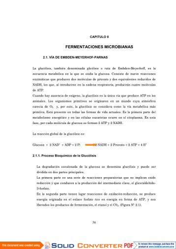 CAPITULO Nº 02.pdf