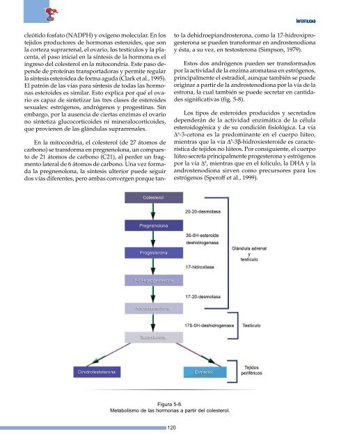 Capítulo 5 - Fertilab