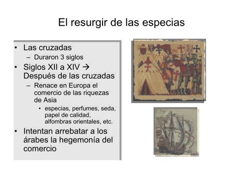 Hierbas y especias