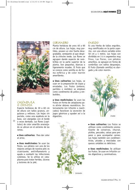 02-Hierbas Aromáticas y medicinales.pdf - INTA