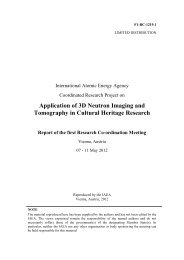 Meeting report (pdf) - Nuclear Sciences and Applications - IAEA