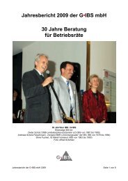 Jahresbericht 2009 der GIBS mbH - G-ibs.de