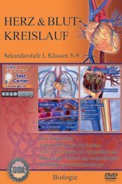 Blut Herz Und Kreislauf