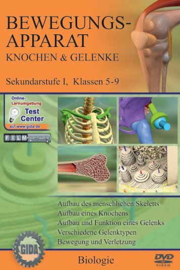 Bewegungsapparat - Knochen & Gelenke - GIDA