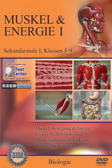 Muskel & Energie I - GIDA