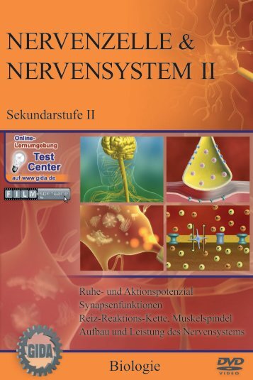 Nervenzelle & Nervensystem II - GIDA