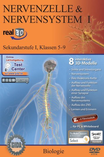Nervenzelle & Nervensystem I â real3D - GIDA