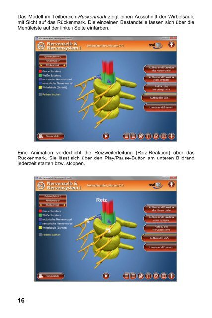 Nervenzelle & Nervensystem I â real3D - GIDA