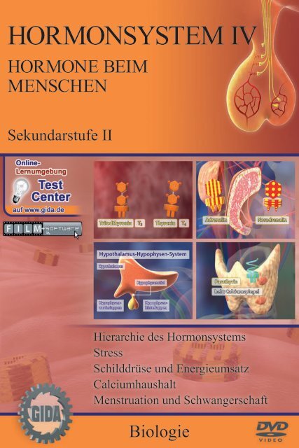 Hormonsystem IV - Hormone beim Menschen - GIDA