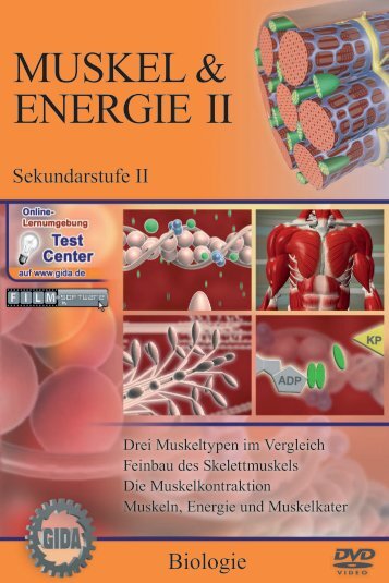 Muskel & Energie II - GIDA