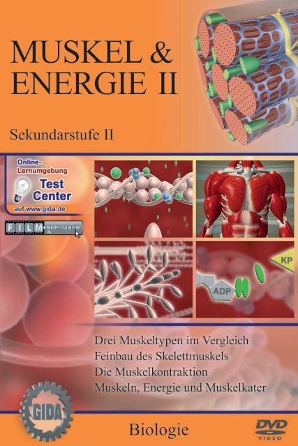 Muskel Amp Energie Ii Gida