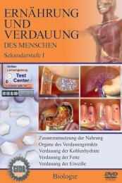 blumenkasten absturzsicherung ohne bohren Blumenkastenhalterung f. Fensterbnke Edelstahl ohne Bohren