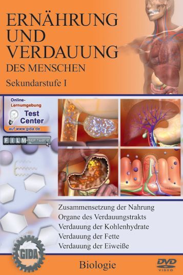verdauung und ernährung