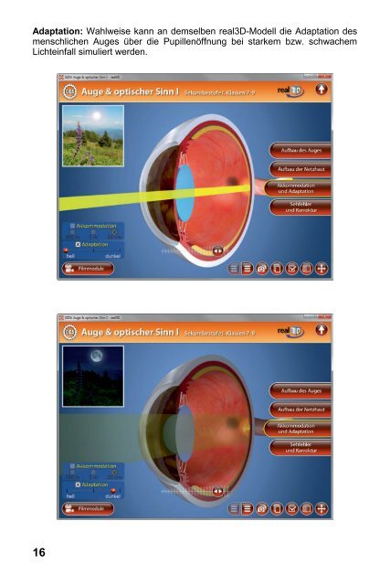 Auge & optischer Sinn I - real3D - GIDA