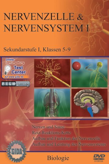 Nervenzelle & Nervensystem I - GIDA