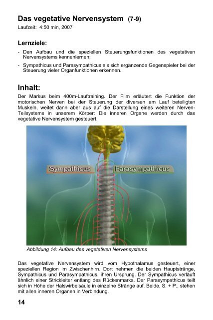 Nervenzelle & Nervensystem I - GIDA