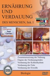 künstliche wimpern für jeden tag And So It Begins – Drama Edition Wimpern Starter‑Set 5 Styles 12‑17 mm,  inklusive Lash Glue & Remover main image 1