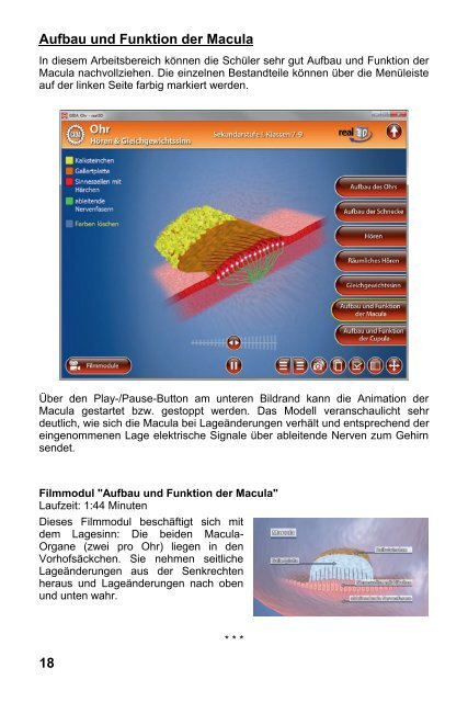 Ohr - HÃ¶ren & Gleichgewichtssinn - real3D - GIDA