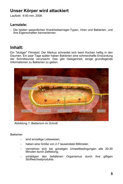 Immunsystem I - GIDA