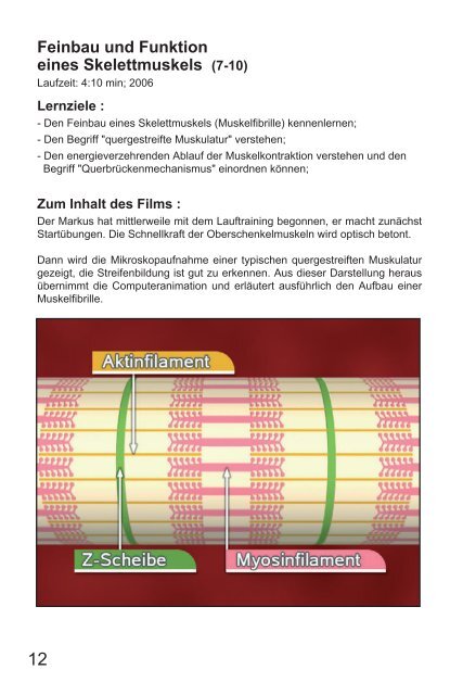 Muskel und Energie I (Trilingual) - GIDA