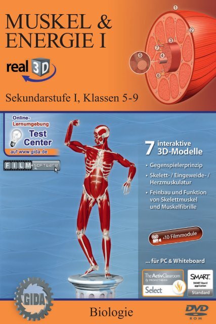 Muskel & Energie I â real3D - GIDA
