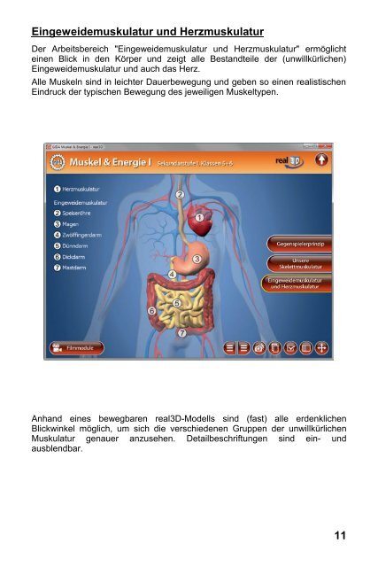 Muskel & Energie I â real3D - GIDA