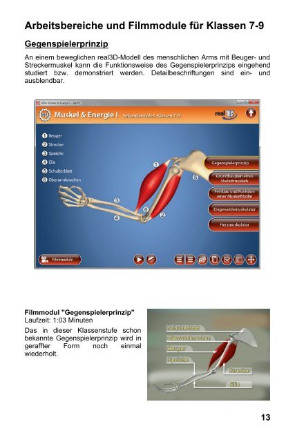 Muskel & Energie I â real3D - GIDA