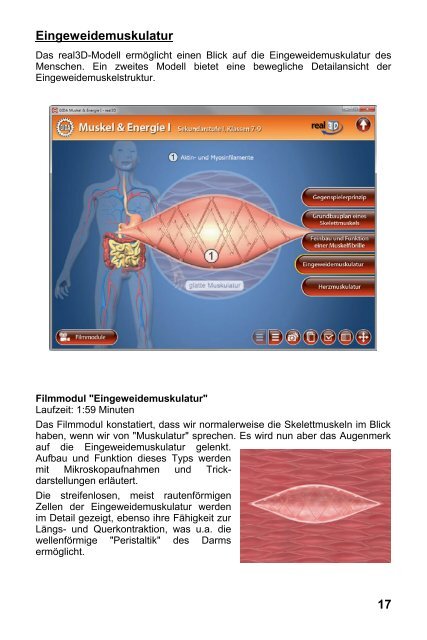 Muskel & Energie I â real3D - GIDA