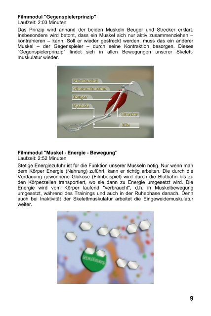 Muskel & Energie I â real3D - GIDA