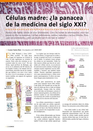 Células madre: ¿la panacea de la medicina del siglo XXI?