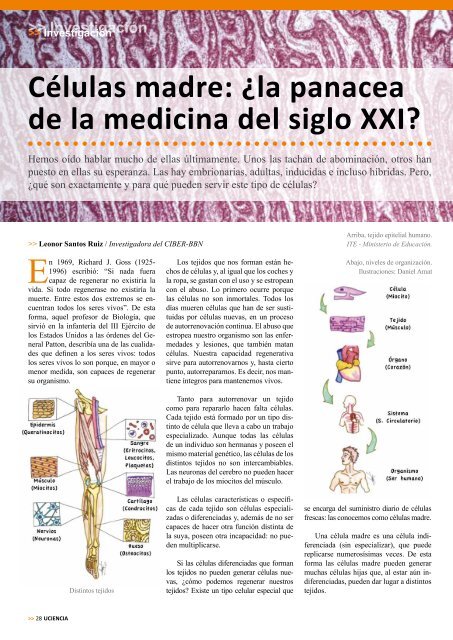 Células madre: ¿la panacea de la medicina del siglo XXI?