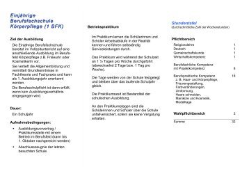 1 BFK - Infoblatt.pdf - Georg-Kerschensteiner-Schule
