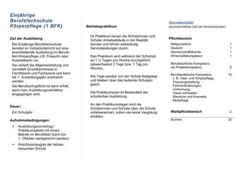 1 BFK - Infoblatt.pdf - Georg-Kerschensteiner-Schule