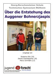 Über die Entstehung des Auggener Bohnerzjaspis - Georg ...