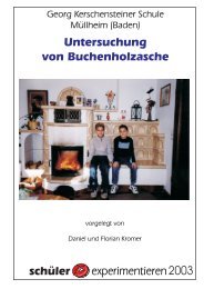 2003_02.pdf - Georg-Kerschensteiner-Schule