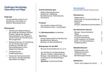 1 BKP - Infoblatt.pdf - Georg-Kerschensteiner-Schule