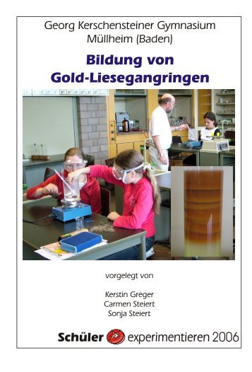2006_01.pdf - Georg-Kerschensteiner-Schule