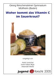 2005_02.pdf - Georg-Kerschensteiner-Schule