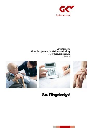Band 4: Das Pflegebudget (PDF, 367 KB) - GKV-Spitzenverband