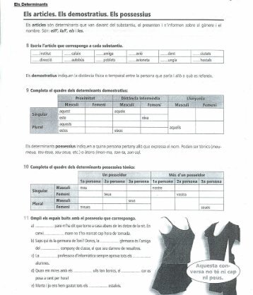 Els determinants