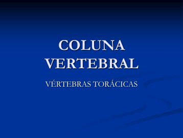 Coluna vertebral Vertebras toracicas ate caudais.pdf - Animalmed.pt