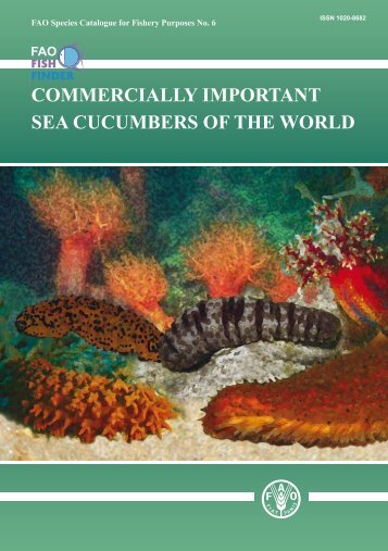 COMMERCIALLY IMPORTANT SEA CUCUMBERS OF THE WORLD