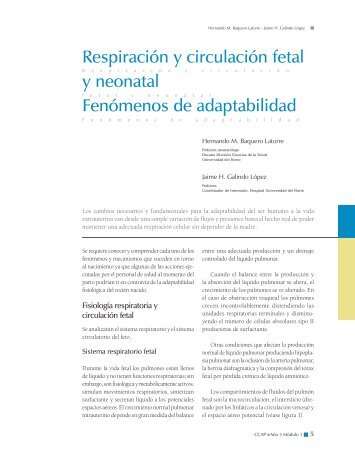 Respiración y circulación fetal y neonatal Fenómenos de ...