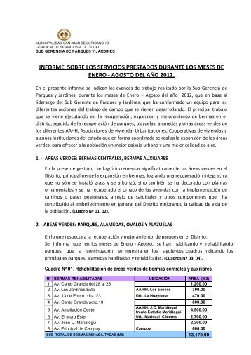 INFORME SITUACIONAL - Municipalidad de San Juan de Lurigancho