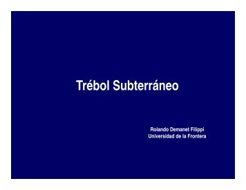 Trébol Subterráneo - www.PraderasyPasturas.com