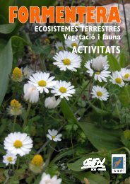 Ecosistemes terrestres, vegetació i fauna - GEN-GOB Eivissa