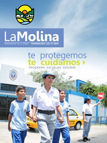 te protegemos te cuidamos - Municipalidad de la Molina