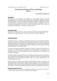 Determinación de Puntos de Rocío y de Burbuja - Universidad ...